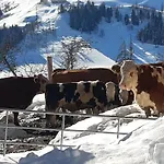 Apartment Bio Bauernhof Brandgut Mühlbach am Hochkönig