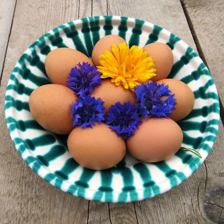 Apartament Bio Bauernhof Brandgut Mühlbach am Hochkönig