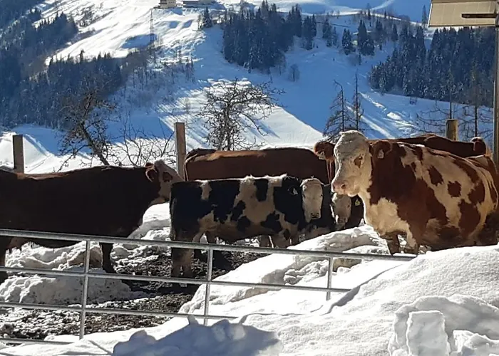 アパート Bio Bauernhof Brandgut Mühlbach am Hochkönig