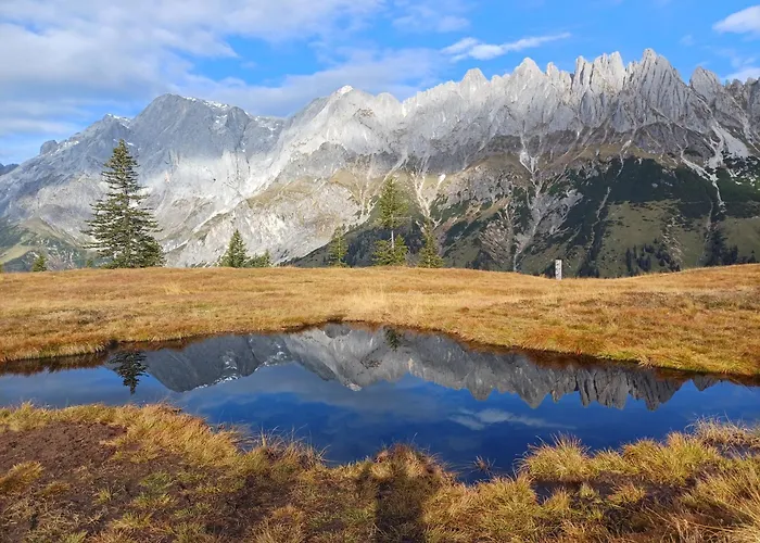 Bio Bauernhof Brandgut Mühlbach am Hochkönig