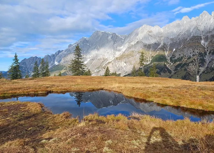 Bio Bauernhof Brandgut
