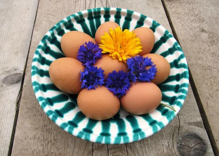 アパート Bio Bauernhof Brandgut Mühlbach am Hochkönig